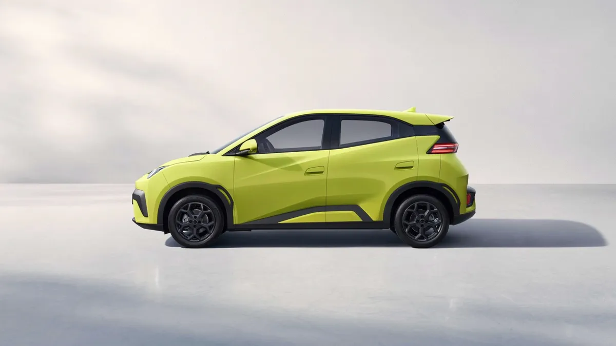 BYD BYD DOLPHIN SURF 43.2 kWh Boost — photo 3