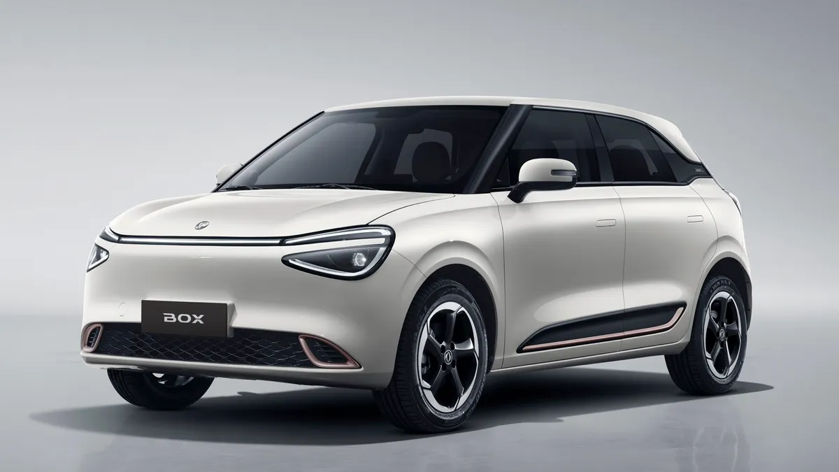 Dongfeng Dongfeng Box 42.3 kWh — photo 5