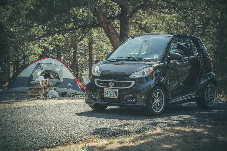 How Chinese EVs Conquered Europe, And What It Means for Canada