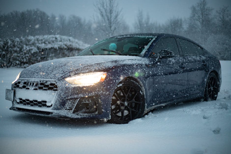 What Norwegian Owners Say About BYD After 2 Winters
